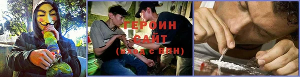гидра Елизово