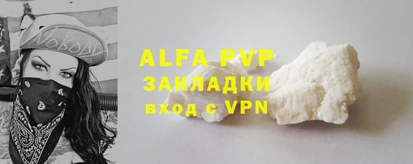 гидра Елизово