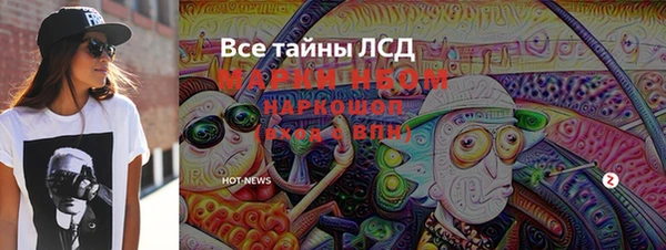 гидра Елизово