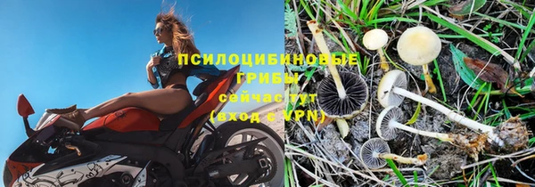ALPHA-PVP Ельня