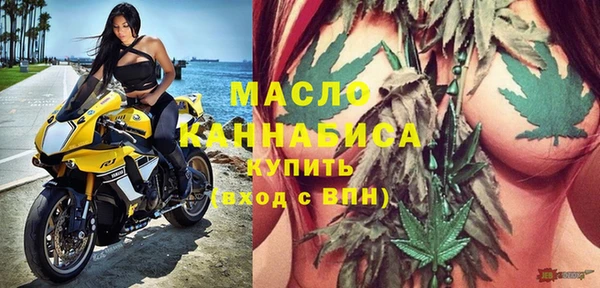 гидра Елизово